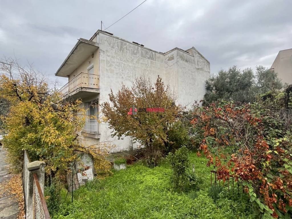 ΕΞΩΤΕΡΙΚΗ ΟΨΗ