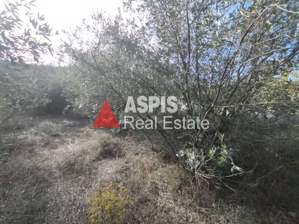 Εξωτερικοι χώροι