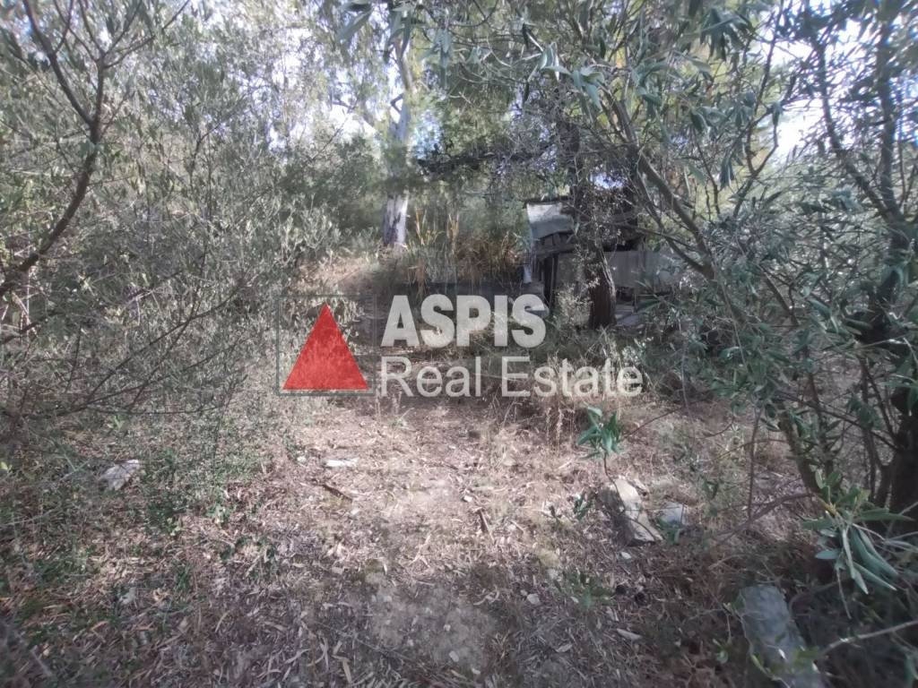 Εξωτερικοι χώροι