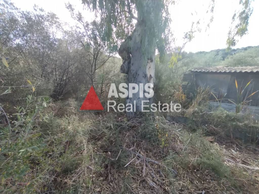 Εξωτερικοι χώροι