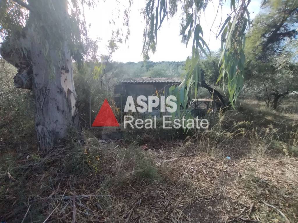 Εξωτερικοι χώροι