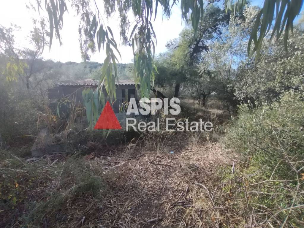 Εξωτερικοι χώροι