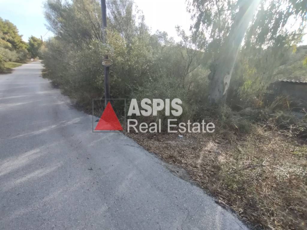 Εξωτερικοι χώροι