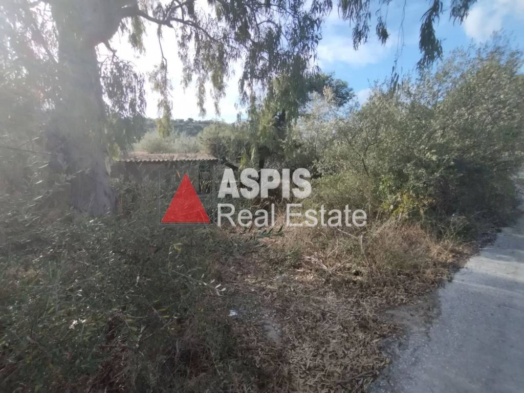 Εξωτερικοι χώροι