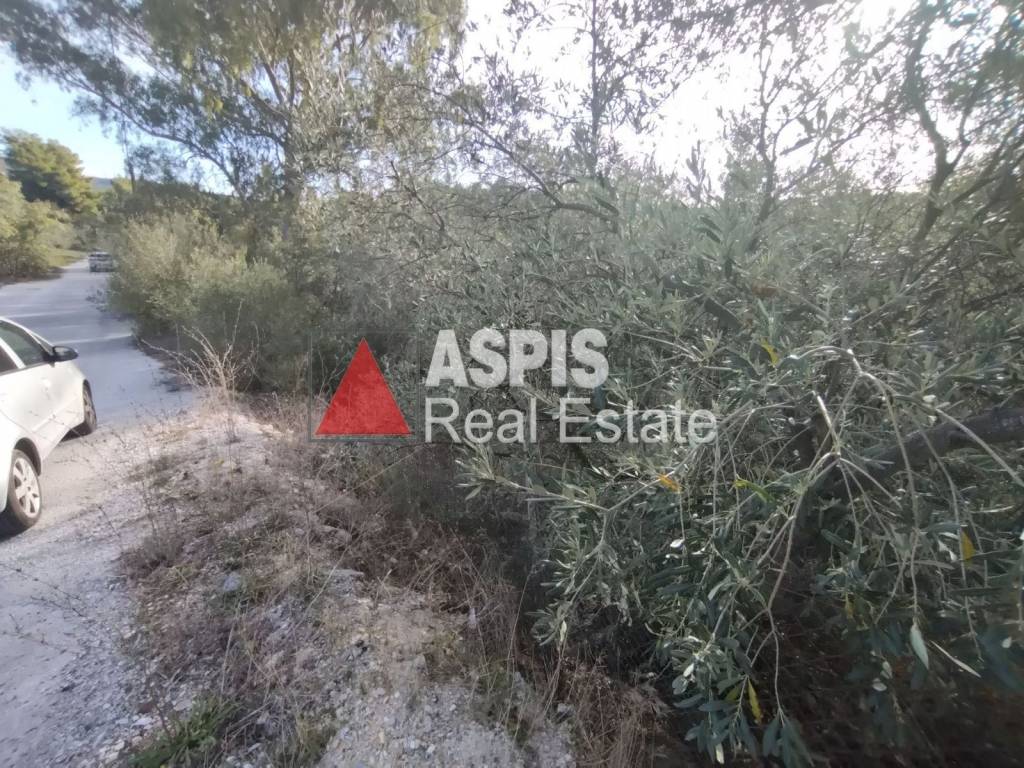 Εξωτερικοι χώροι