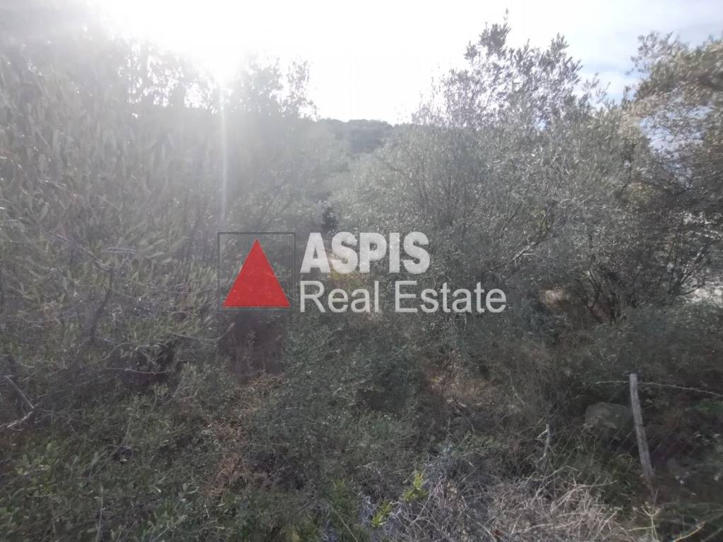 Εξωτερικοι χώροι