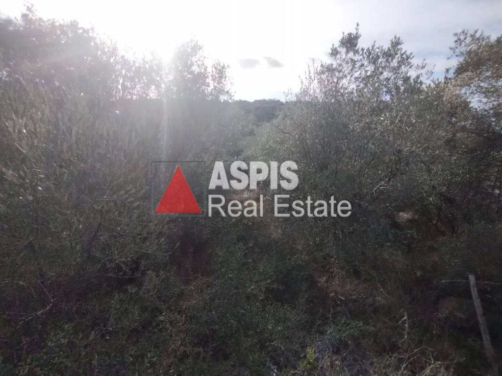 Εξωτερικοι χώροι