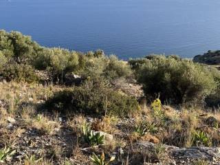 Plot - Grekodom 64871|1029969