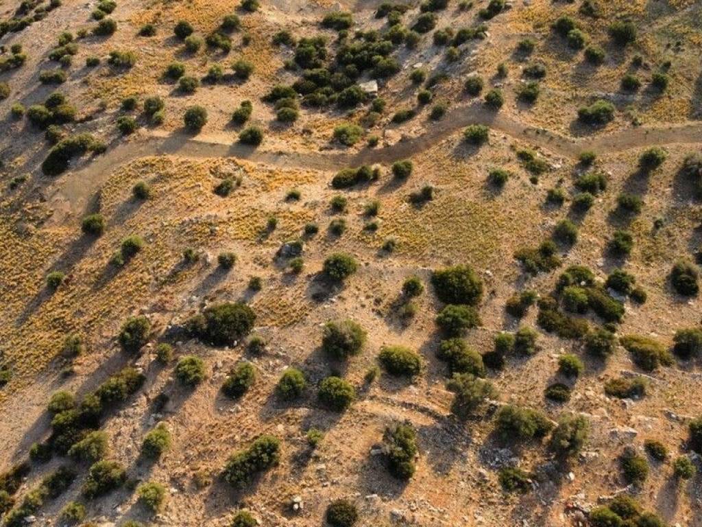 Plot - Grekodom 64871|1029967