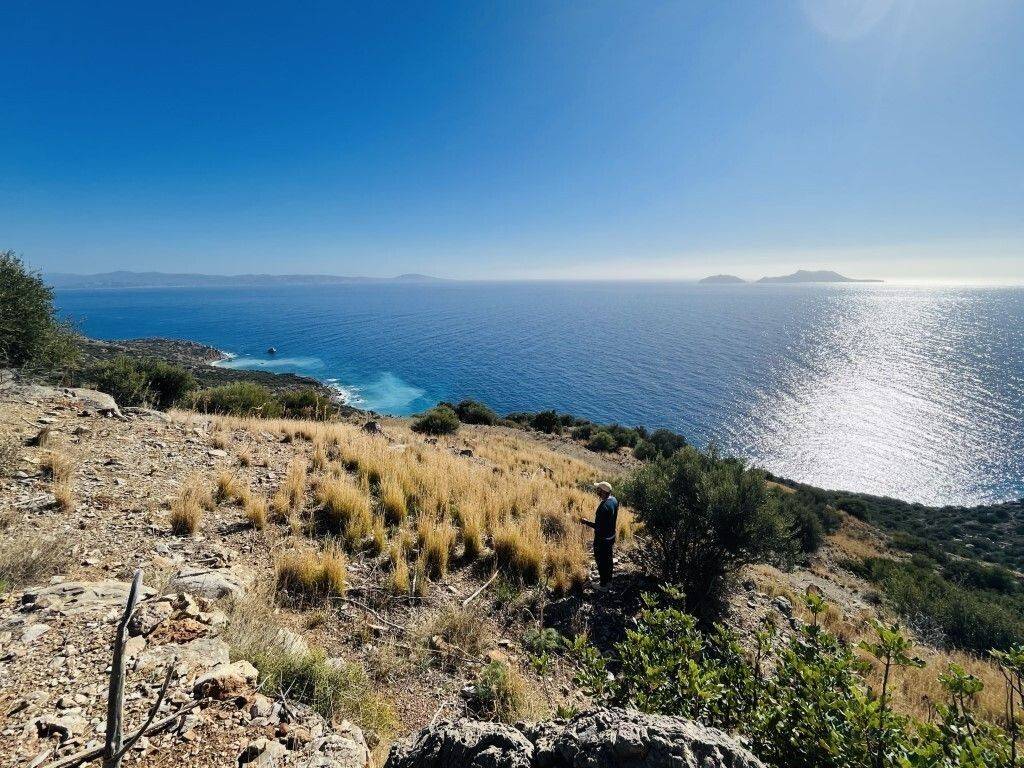 Plot - Grekodom 64871|1029968