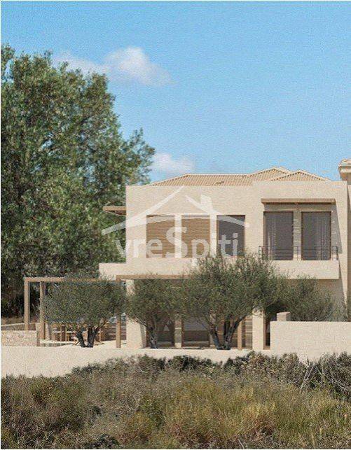 ΑΠΟΨΗ ΜΕΖΟΝΕΤΑΣ