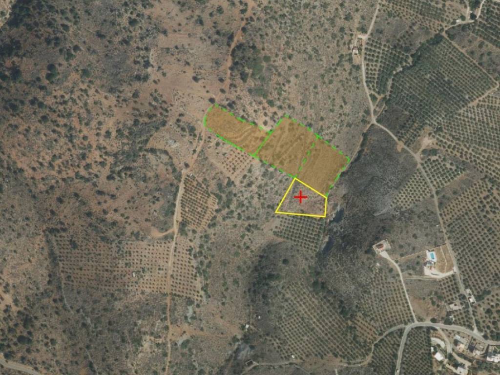 ΠΡΑΣΙΝΟ + ΚΙΤΡΙΝΟ ΟΛΟ ΜΑΖΙ