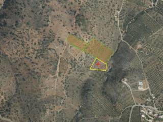 ΠΡΑΣΙΝΟ + ΚΙΤΡΙΝΟ ΟΛΟ ΜΑΖΙ