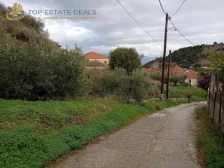 oikopedo me elies apo ten asprokokkine tampela ki aristera