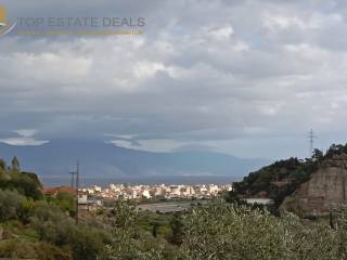 thea apo to oikopedo