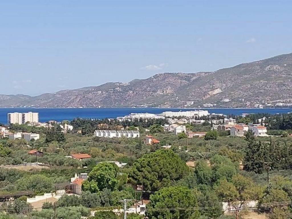 ΘΕΑ ΒΟΥΝΟ ΘΑΛΑΣΣΑ