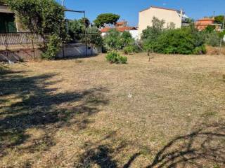 ΑΠΟΨΗ ΓΕΙΤΟΝΩΝ ΤΟΥ ΟΙΚΟΠΕΔΟΥ