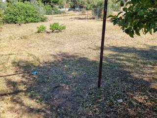 ΑΠΟΨΗ ΓΕΙΤΟΝΩΝ