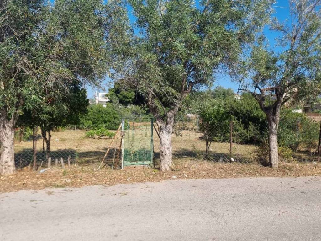 ΠΡΟΣΒΑΣΗ ΑΠΟ ΑΣΦΑΛΤΟ ΣΤΟ ΟΙΚΟΠΕΔΟ