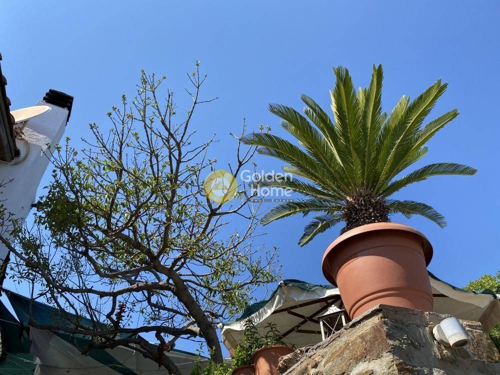 Εξωτερικός Χώρος