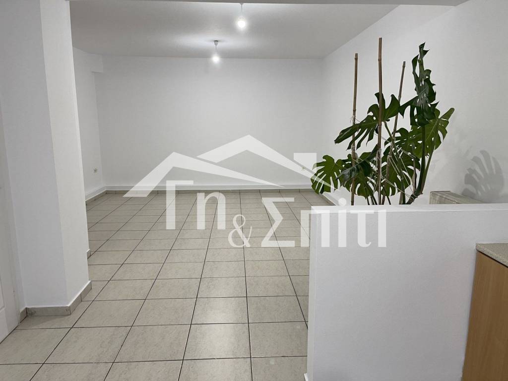 Σαλοκουζίνα