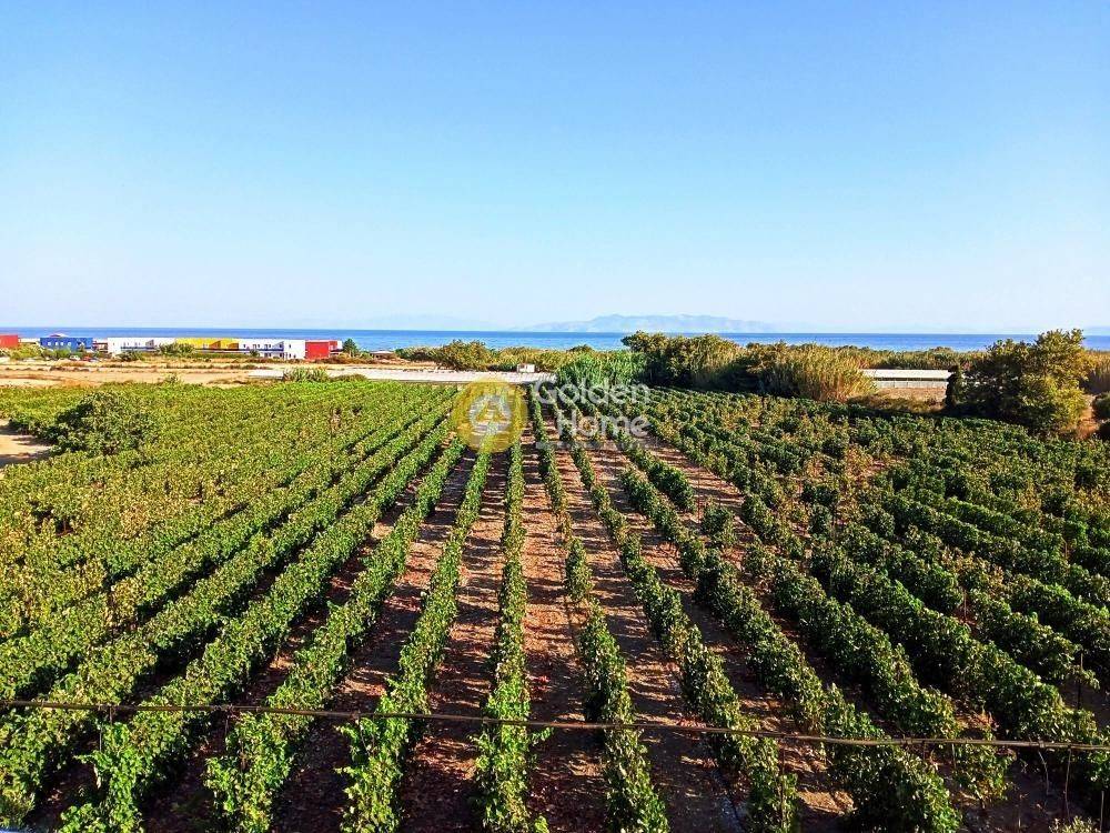 Εξωτερικός Χώρος