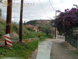 aristera tes tampelas to oikopedo