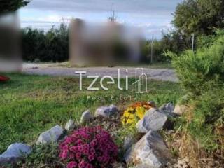 Εξωτερική άποψη χώρου