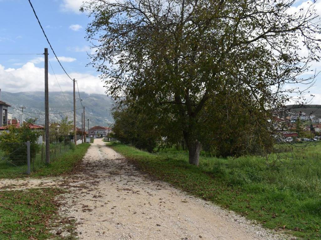 ΑΠΟΨΗ ΟΙΚΟΠΕΔΟΥ