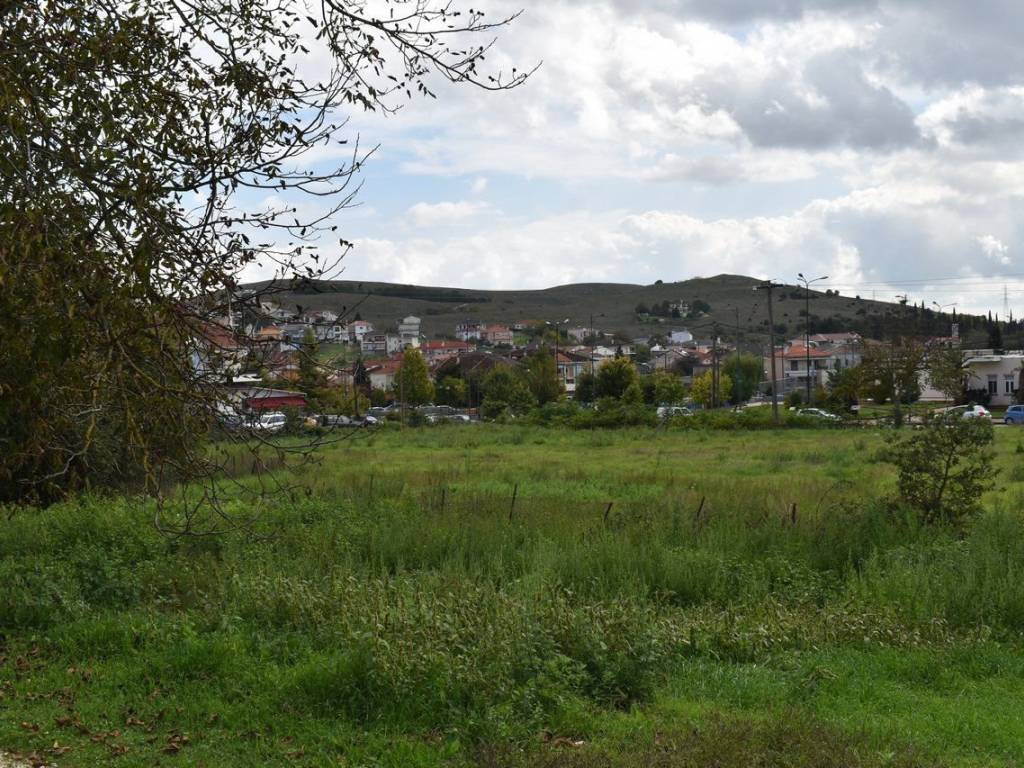 ΑΠΟΨΗ ΟΙΚΟΠΕΔΟΥ