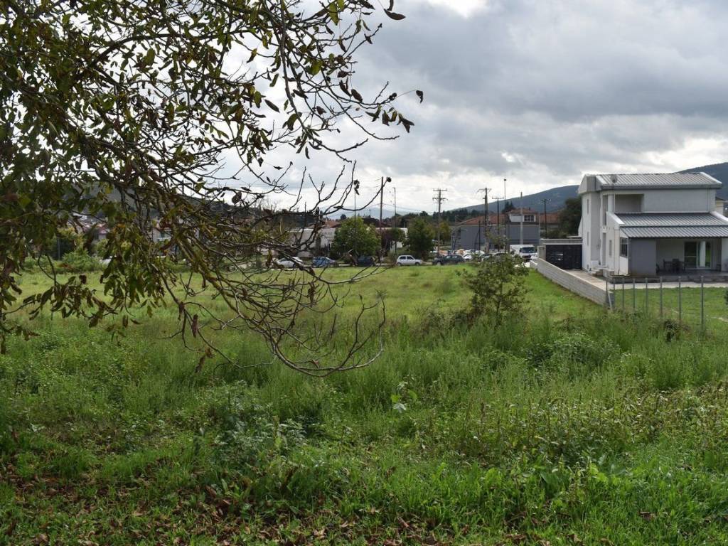 ΑΠΟΨΗ ΟΙΚΟΠΕΔΟΥ