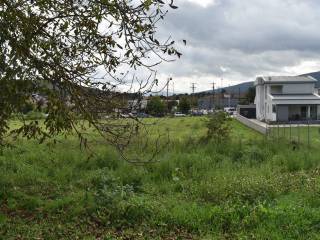 ΑΠΟΨΗ ΟΙΚΟΠΕΔΟΥ