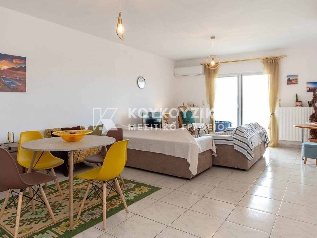 Σαλοκουζίνα