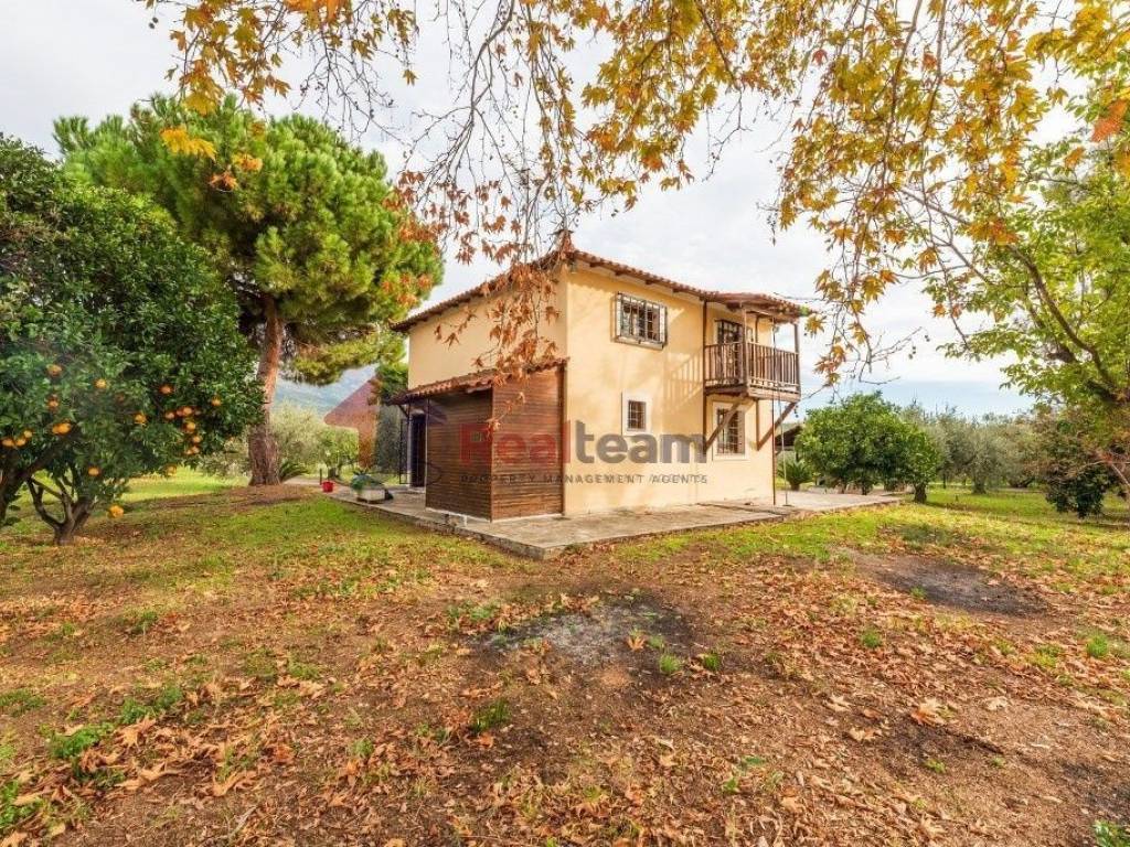 Εξωτερικοι χώροι