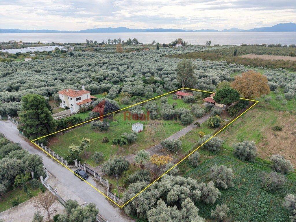 Εξωτερικοι χώροι