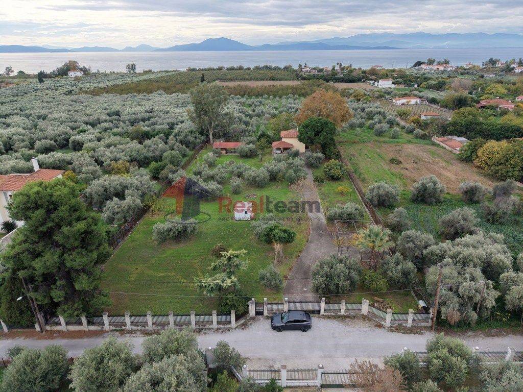 Εξωτερικοι χώροι