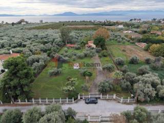 Εξωτερικοι χώροι