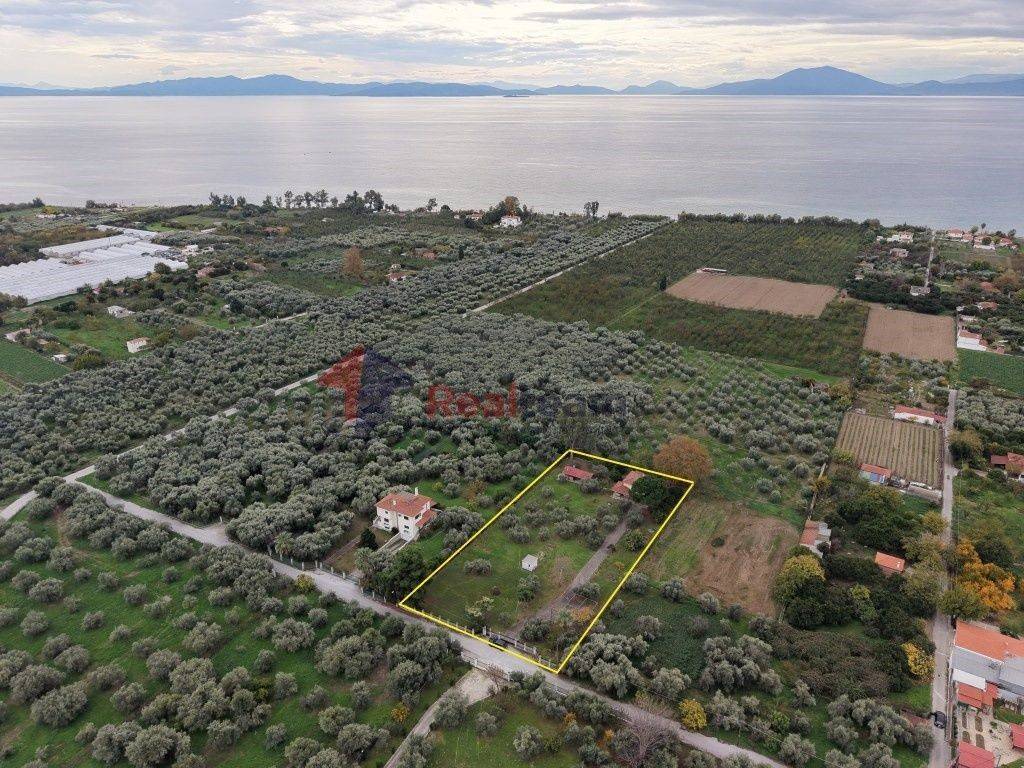 Εξωτερικοι χώροι