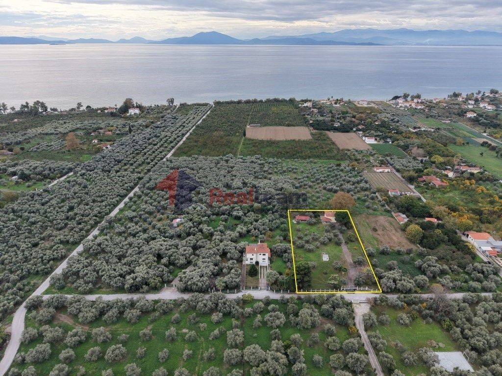 Εξωτερικοι χώροι