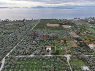 Εξωτερικοι χώροι