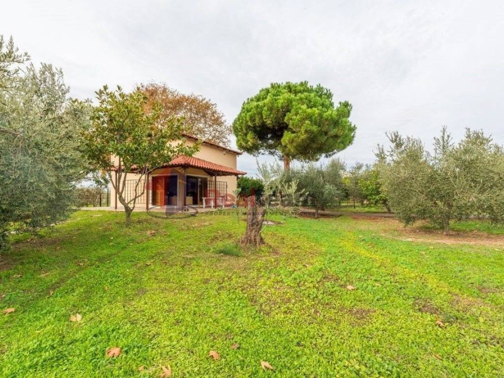 Εξωτερικοι χώροι