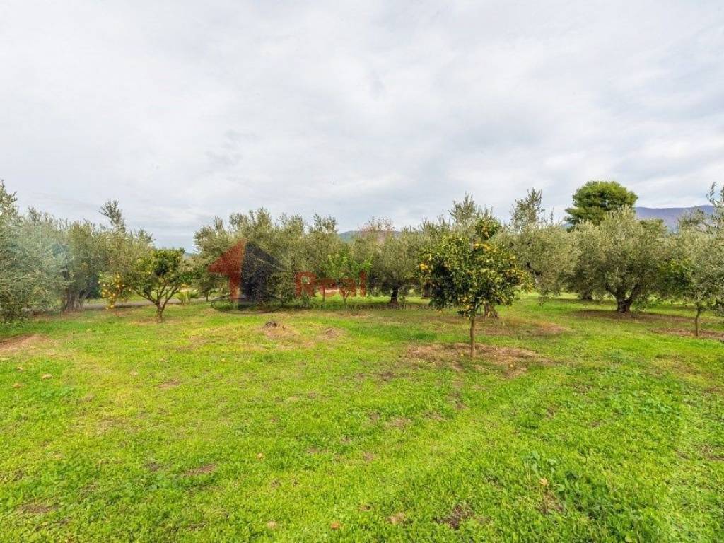 Εξωτερικοι χώροι