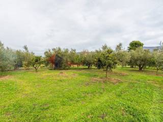 Εξωτερικοι χώροι