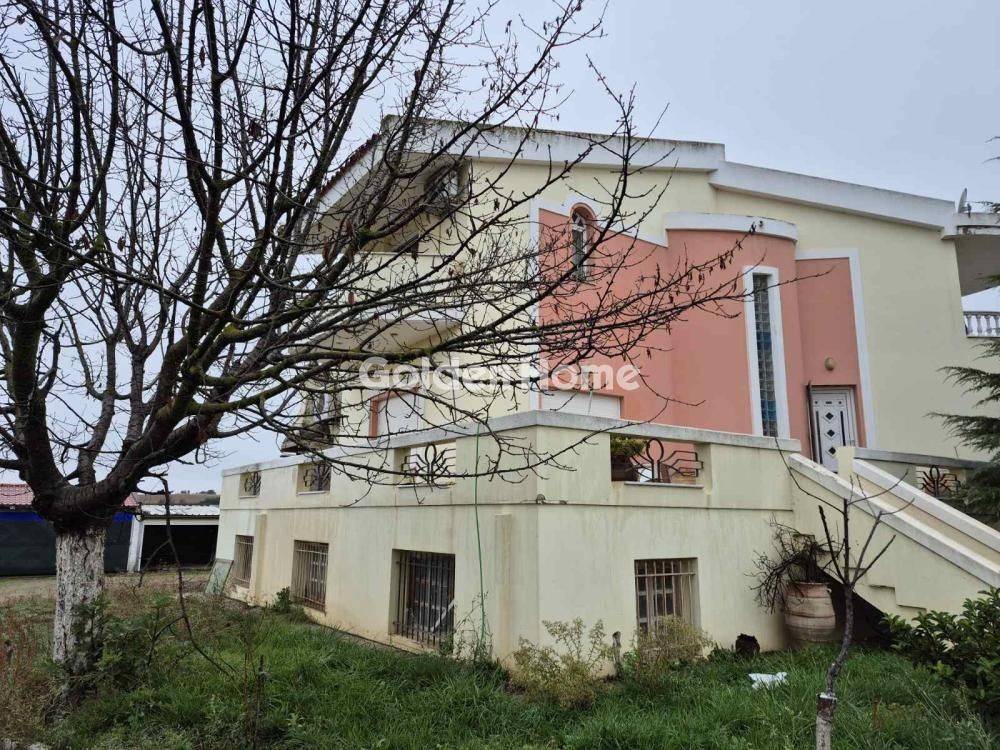 Ανελκυστήρας