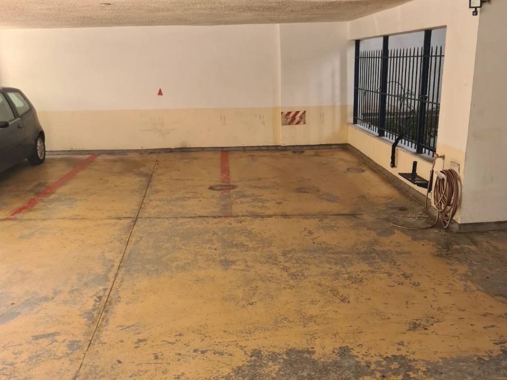 Parkingk pylotes me anese sto parkarisma.