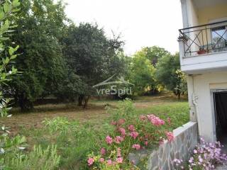 ΑΠΟΨΗ ΟΙΚΟΠΕΔΟΥ