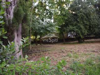 ΑΠΟΨΗ ΟΙΚΟΠΕΔΟΥ