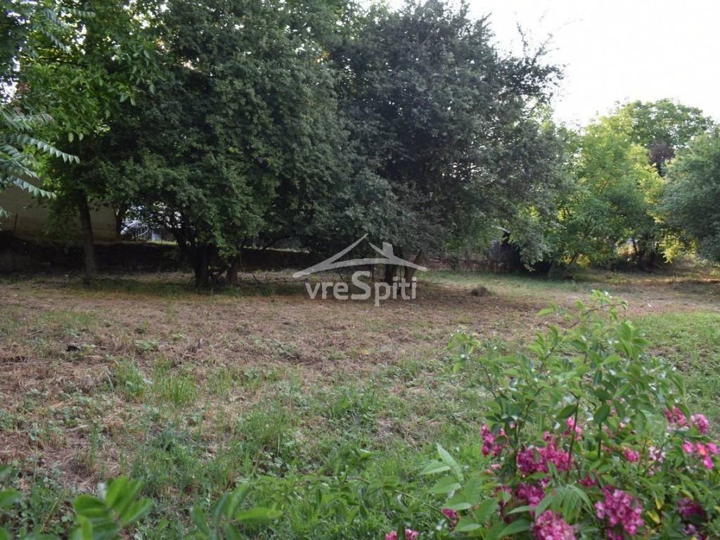 ΑΠΟΨΗ ΟΙΚΟΠΕΔΟΥ