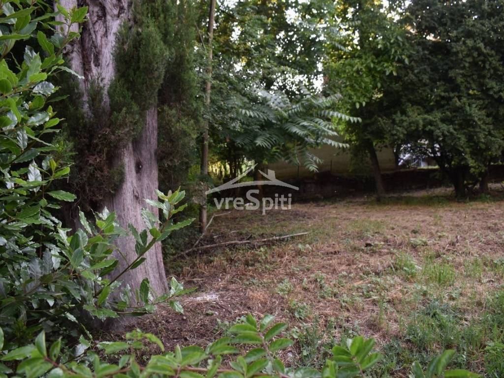 ΑΠΟΨΗ ΟΙΚΟΠΕΔΟΥ