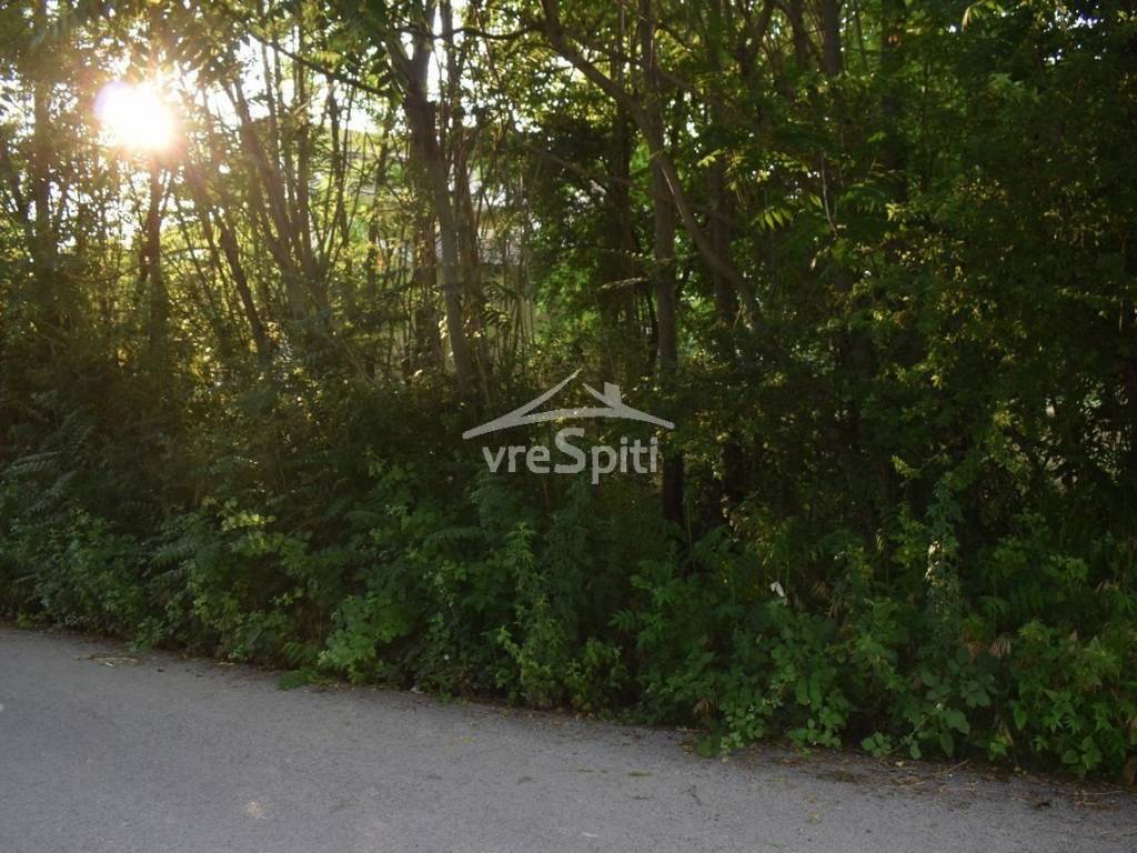 ΑΠΟΨΗ ΟΙΚΟΠΕΔΟΥ